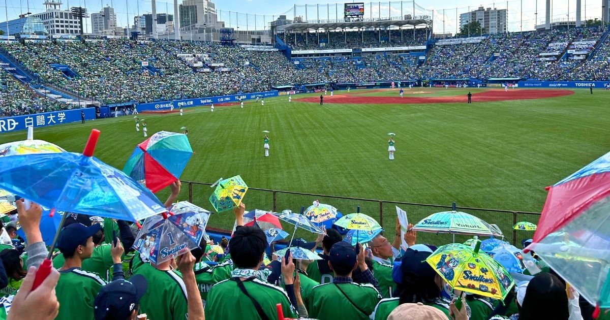 ヤクルトスワローズ観戦